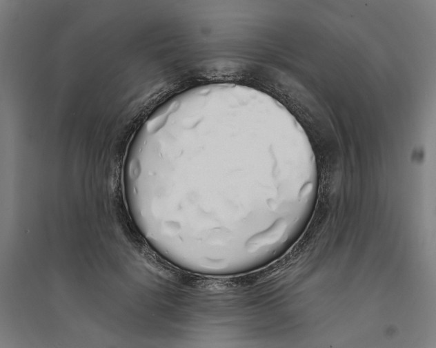X0000094360652200711301426