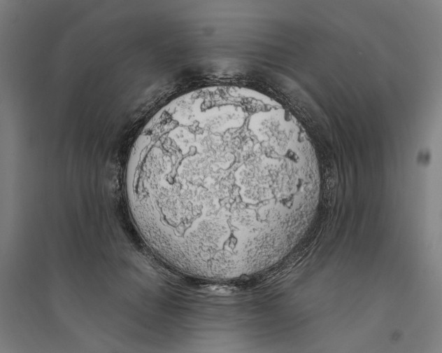 X0000094360654200711301426