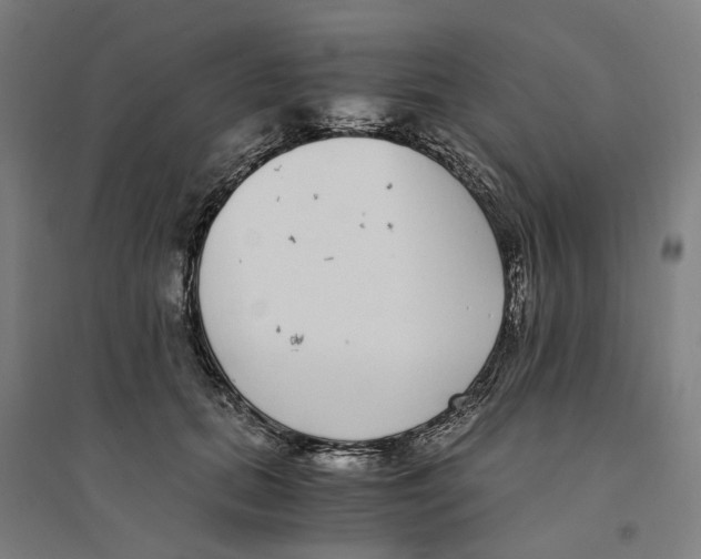 X0000094360655200711301426