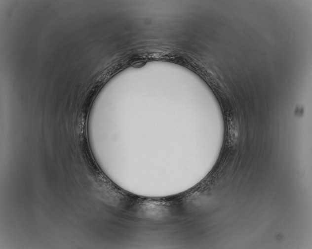 X0000094360657200711301426