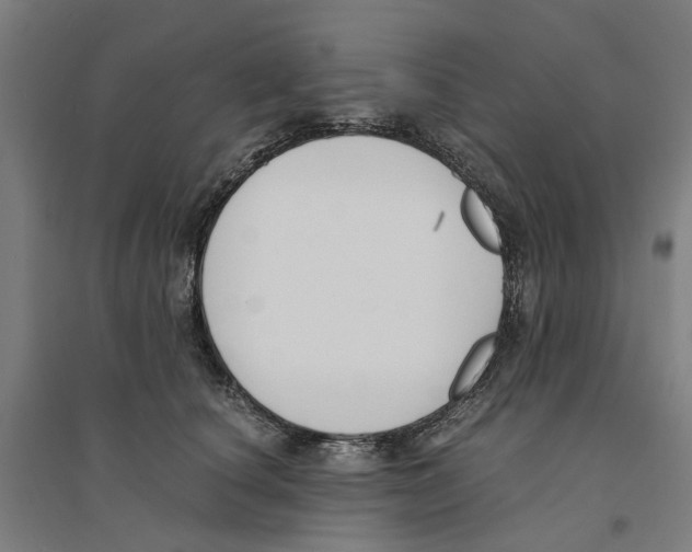 X0000094360660200711301426