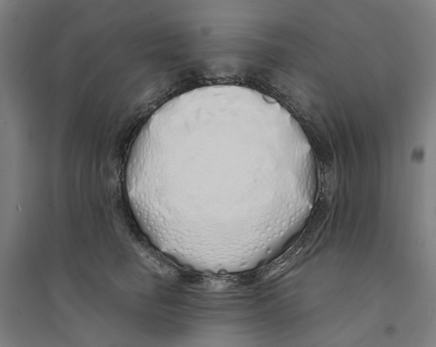 X0000094360662200711301426