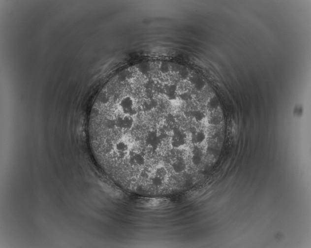 X0000094360663200711301426