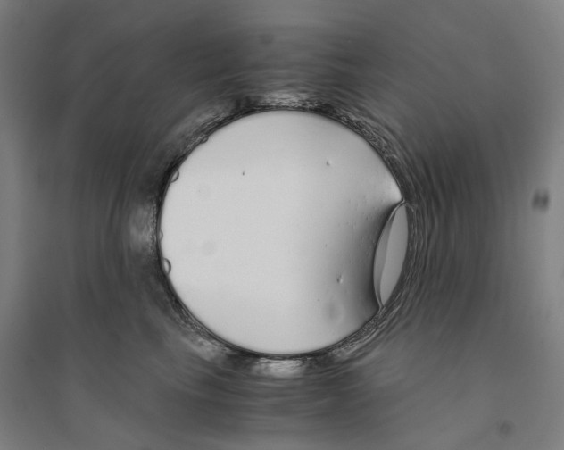 X0000094360665200711301426