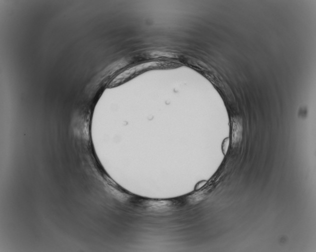 X0000094360666200711301426