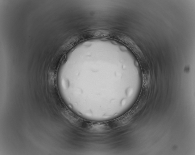 X0000094360669200711301426