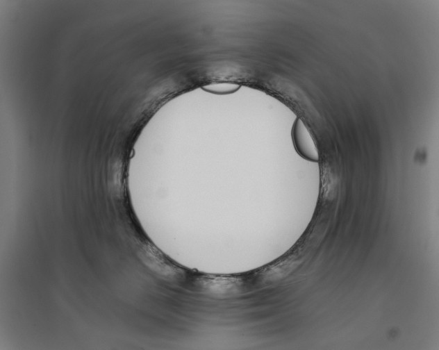 X0000094360670200711301426