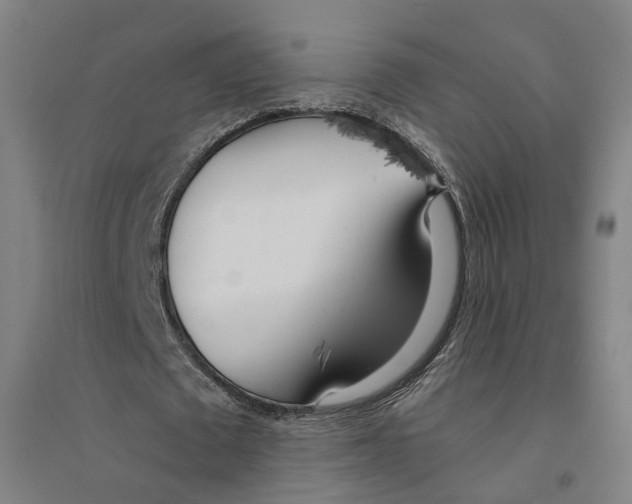 X0000094360673200711301426