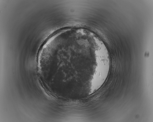 X0000094360674200711301426