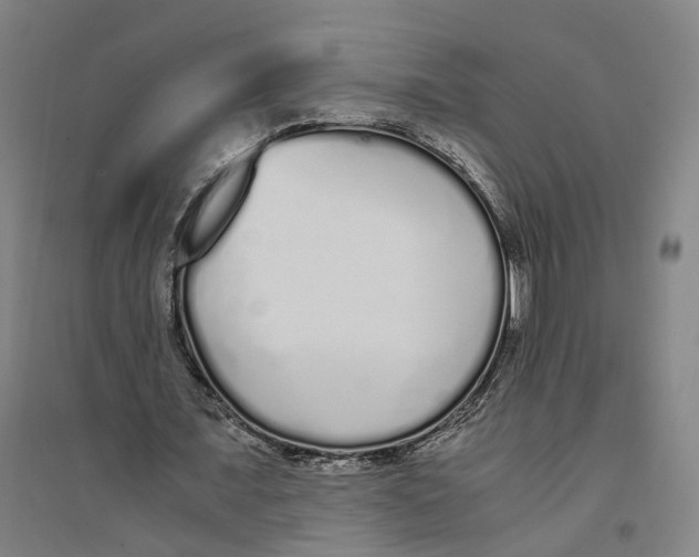 X0000094360675200711301426