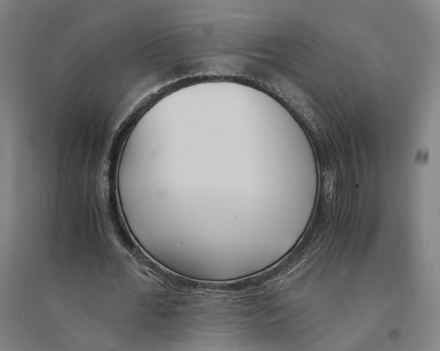 X0000094360676200711301426