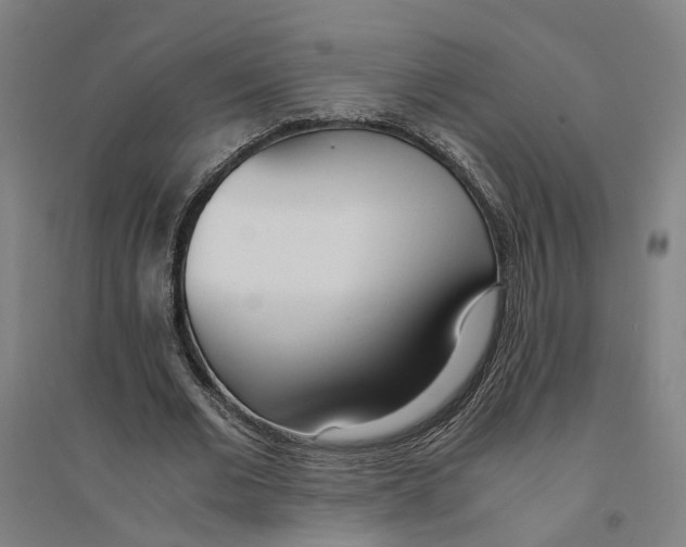 X0000094360677200711301426