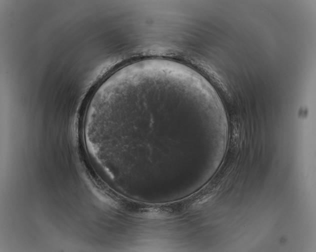 X0000094360678200711301425