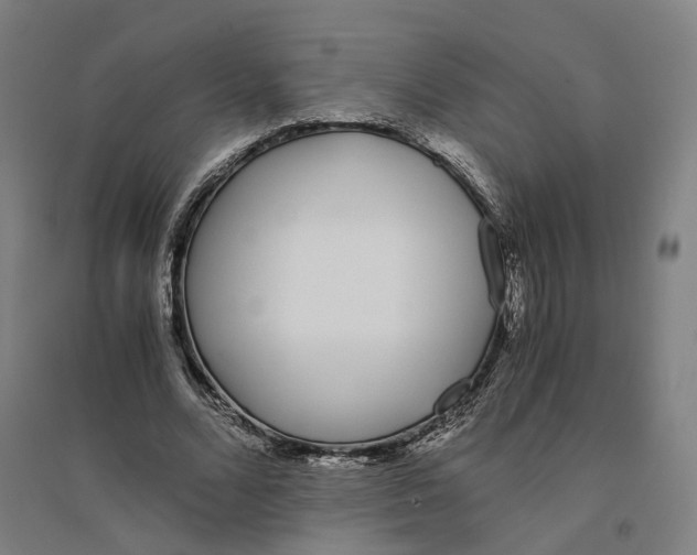 X0000094360680200711301425
