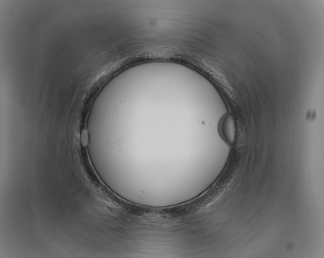 X0000094360681200711301425