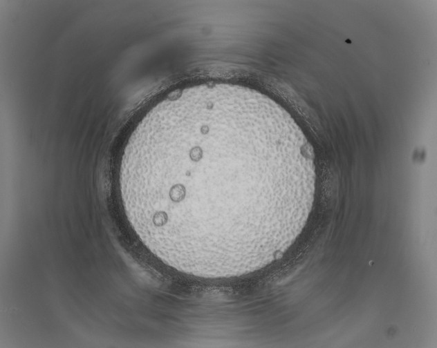 X0000094360683200711301425