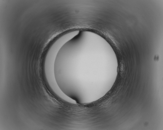 X0000094360684200711301425