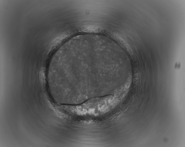 X0000094360688200711301425