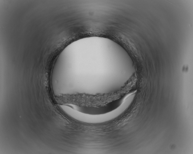 X0000094360689200711301425