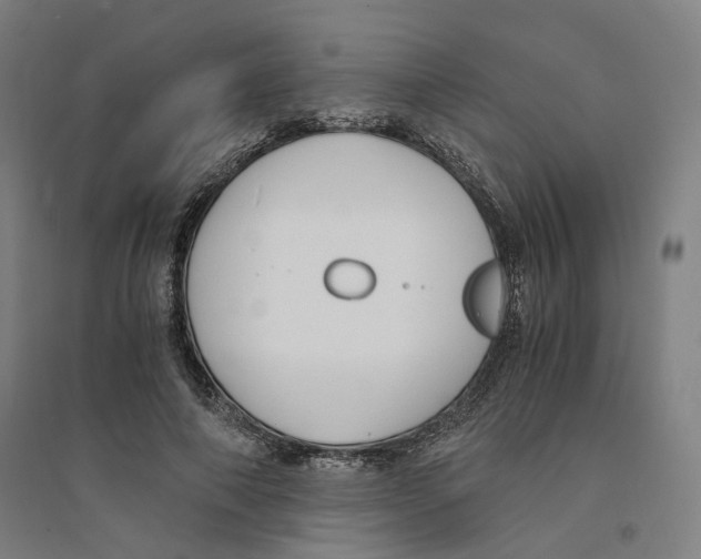 X0000094360690200711301425