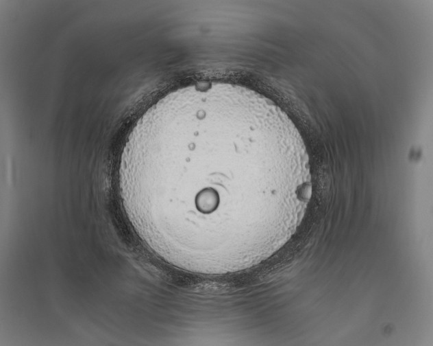 X0000094360691200711301425