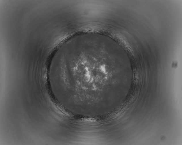 X0000094360692200711301425