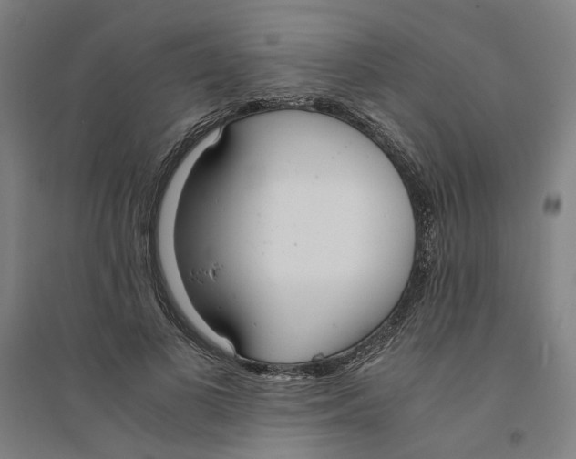 X0000094360693200711301425