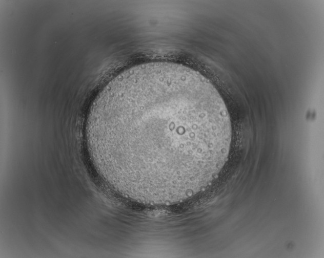 X0000094360695200711301425