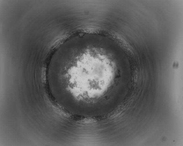 X0000094360696200711301425