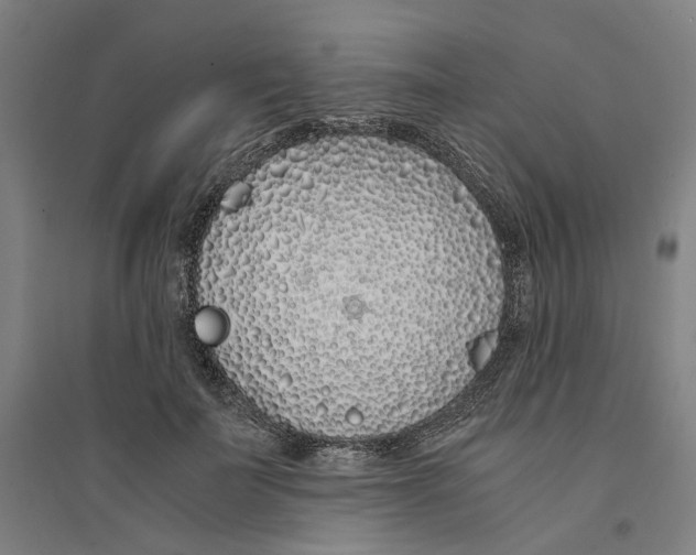 X0000094360699200711301425