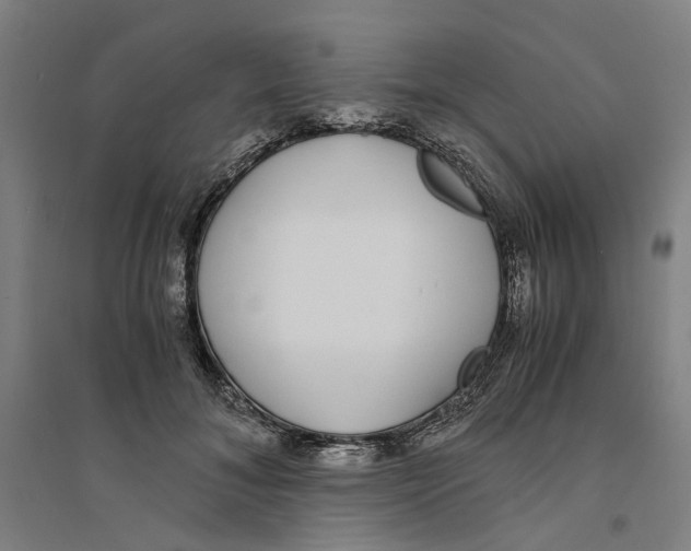 X0000094360700200711301425