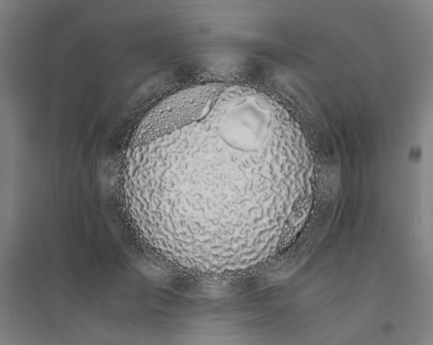 X0000094360701200711301425