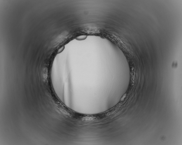 X0000094360704200711301425