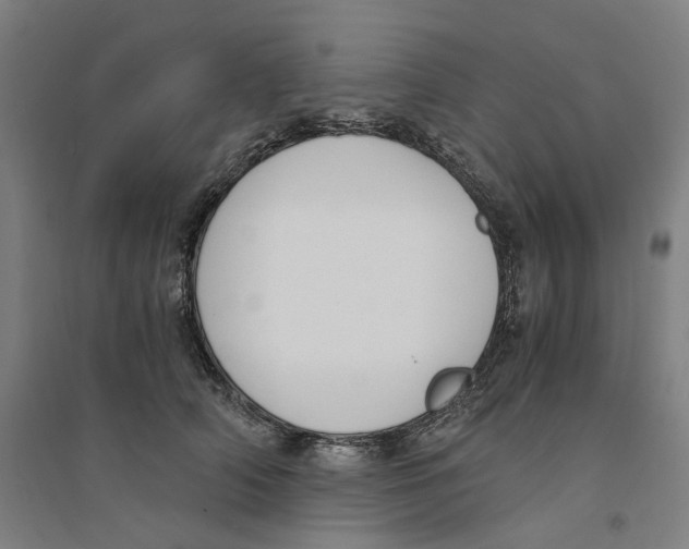 X0000094360706200711301425