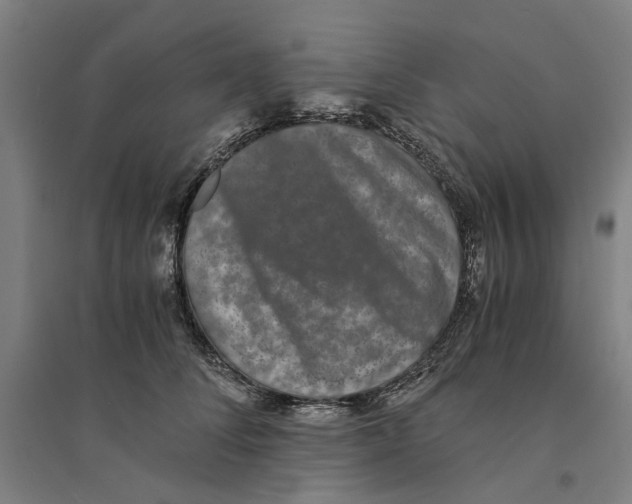 X0000094360708200711301425
