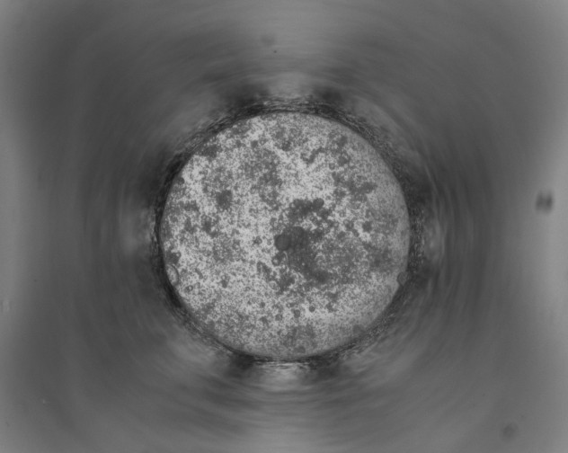 X0000094360711200711301425
