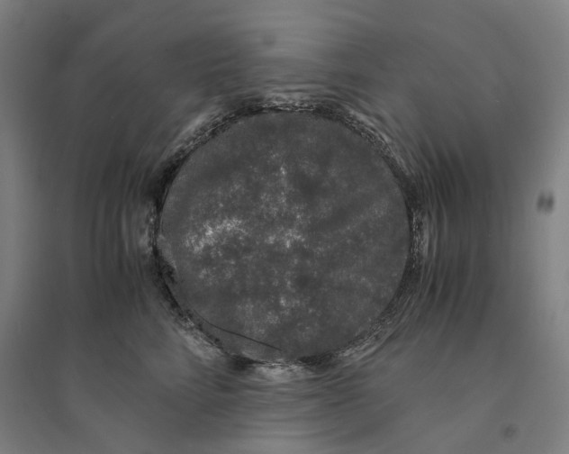 X0000094360712200711301425