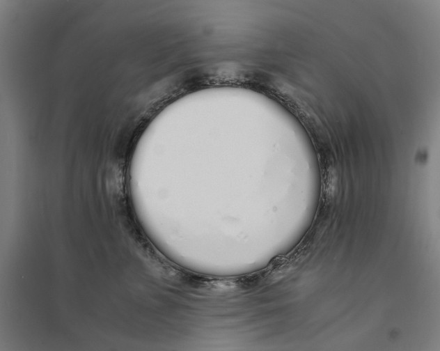 X0000094360715200711301425