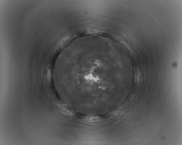 X0000094360716200711301425