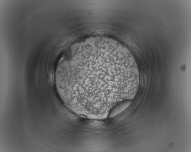 X0000094360718200711301425