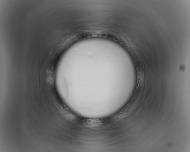 X0000094360719200711301425