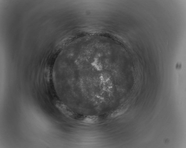 X0000094360720200711301425