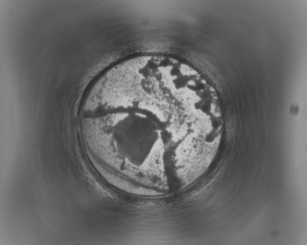X0000094360721200711301424