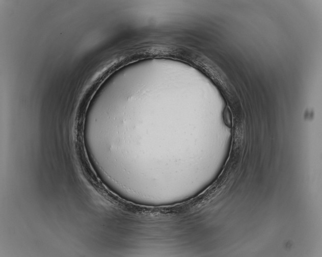 X0000094360722200711301424