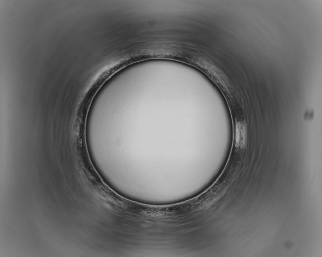 X0000094360723200711301424