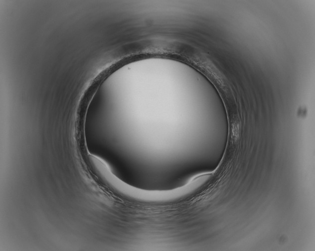 X0000094360724200711301424
