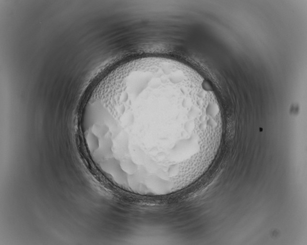 X0000094360725200711301424