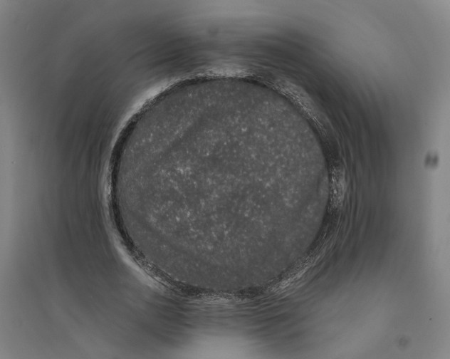X0000094360726200711301424
