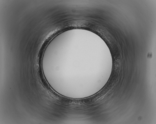 X0000094360727200711301424