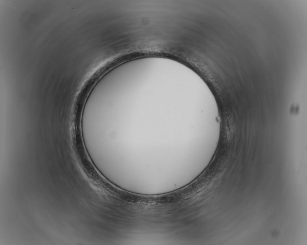 X0000094360728200711301424